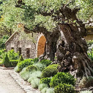 Guest house Domaine Les Mesanges Gassin
